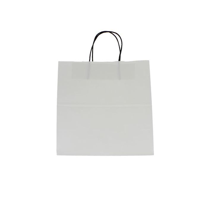 Paper bag kraft paper with black twisted handle - white