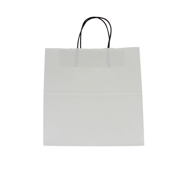 Twist Handle Paper Bags