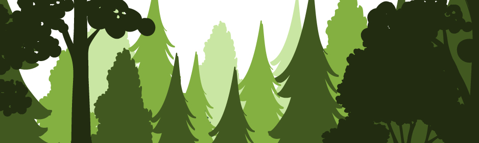 Our contribution to a better world with Trees for All